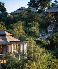 Simbavati safari lodge surrounded by the bush